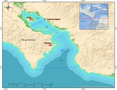 Connecting a Trophic Model and Local Ecological Knowledge to Improve Fisheries Management: The Case of Gulf of Nicoya, Costa Rica